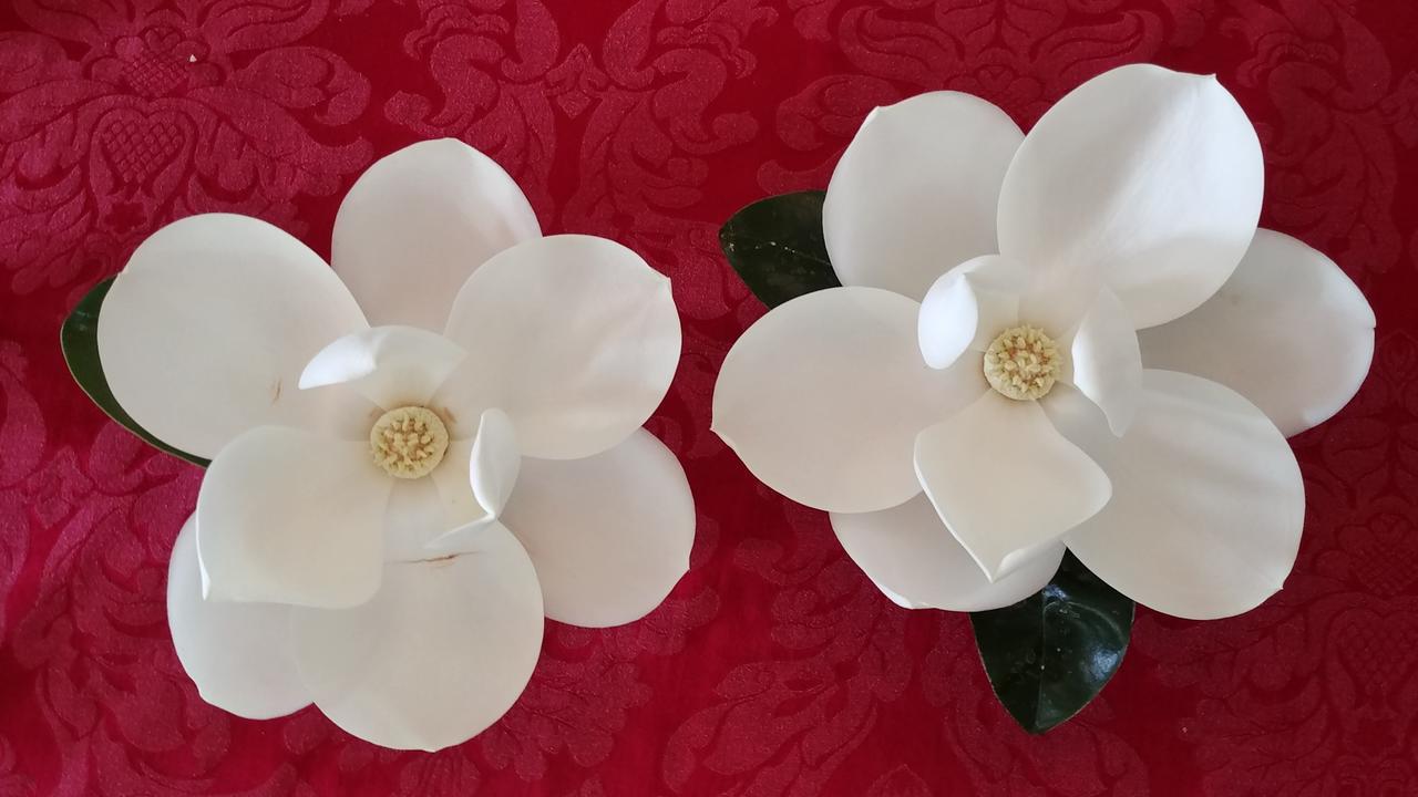 Fruits Of Vienna B&B Экстерьер фото